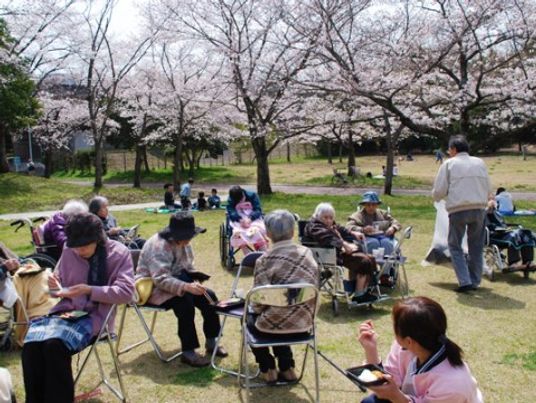 桜の下でくつろぐ人々