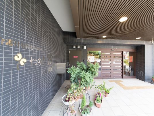 エントランス周りの植物装飾
