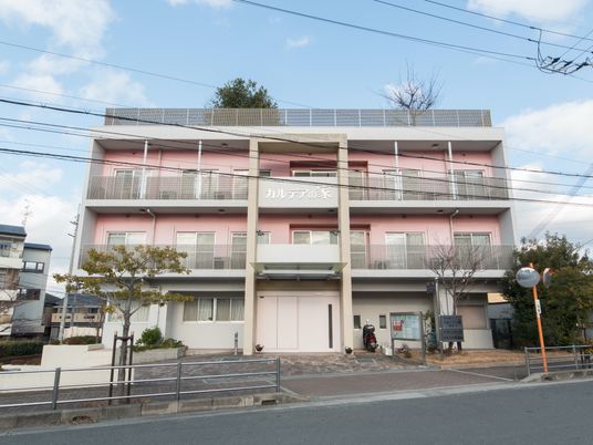 ピンクの建物の外観