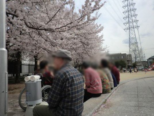 桜の下の休憩スペース
