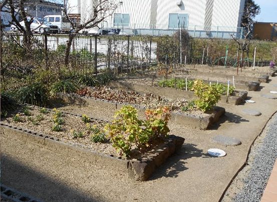 植物が育つ庭