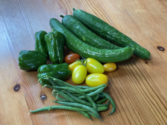 新鮮な野菜のテーブル
