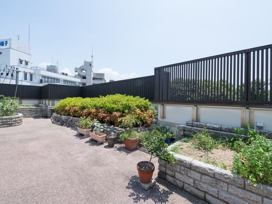 中庭の緑と植木鉢