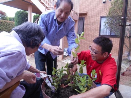 庭での植物の植え付け