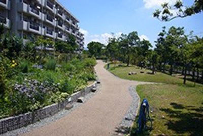 緑豊かな庭の様子