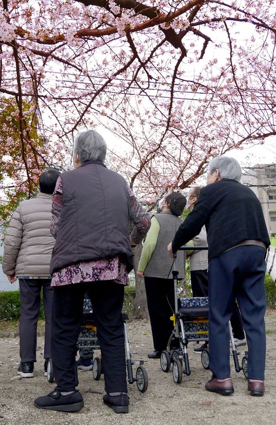 桜の木の下の集い