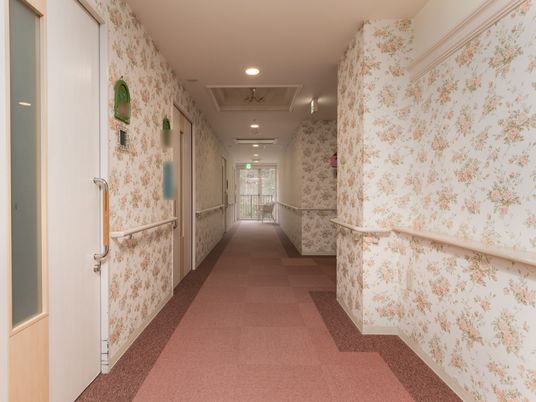 柔らかい光の廊下