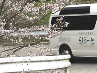 桜のあるエントランス
