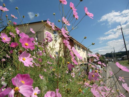 花と建物の外観