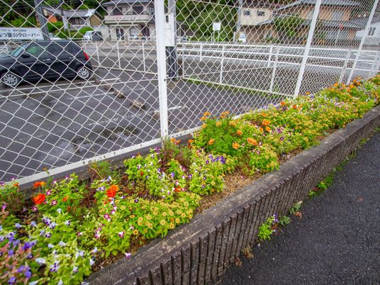 鮮やかな花壇の風景