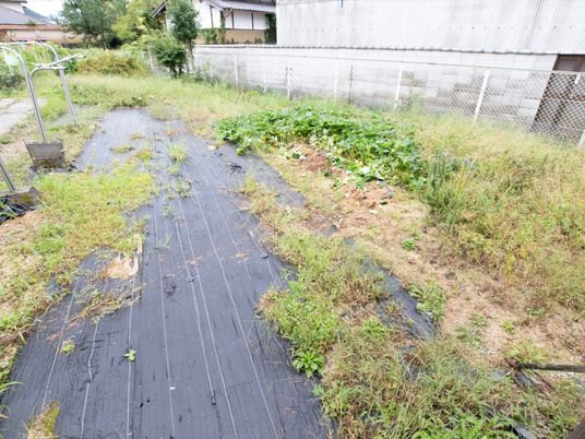 手入れされた中庭の様子