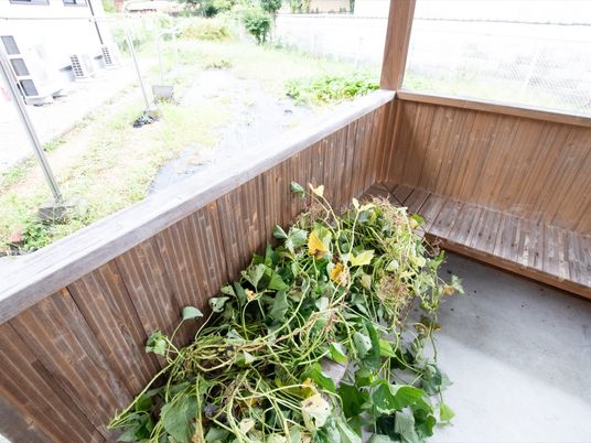 中庭の植物ベンチ