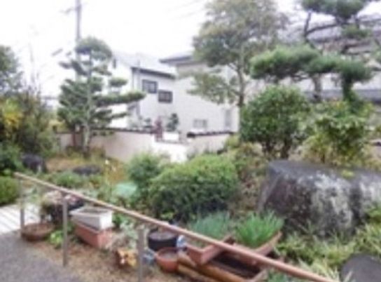 緑豊かな中庭の風景