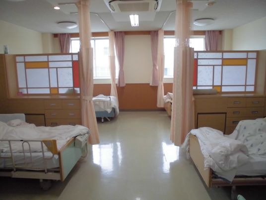 自然光が差し込む居室