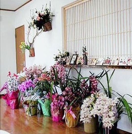 色鮮やかな飾り花が並ぶ廊下