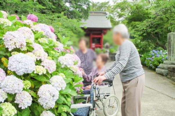 紫陽花と利用者たちの庭
