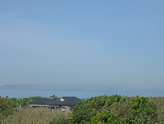 海を望む庭の風景