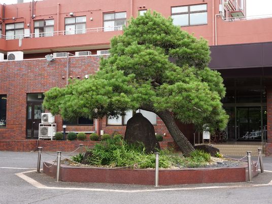 緑豊かな樹木と施設外観