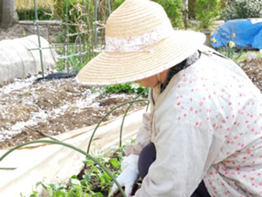 帽子をかぶった人が園芸