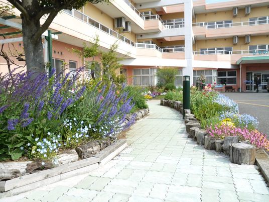 色鮮やかな花壇の外観