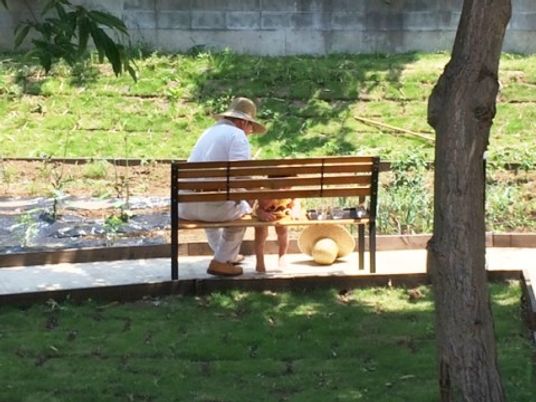 ベンチでくつろぐ人中庭