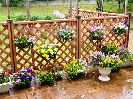 色とりどりの花のテラス