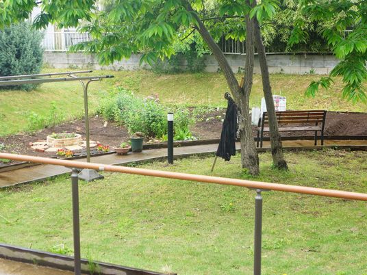 緑豊かな中庭の様子