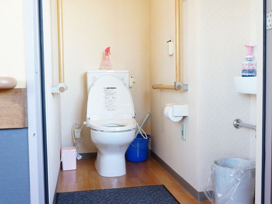 手すり付き清潔なトイレ