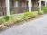 緑の植栽が並ぶ中庭