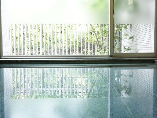 緑に囲まれた明るい室内