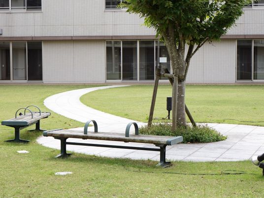 緑豊かな中庭の景観