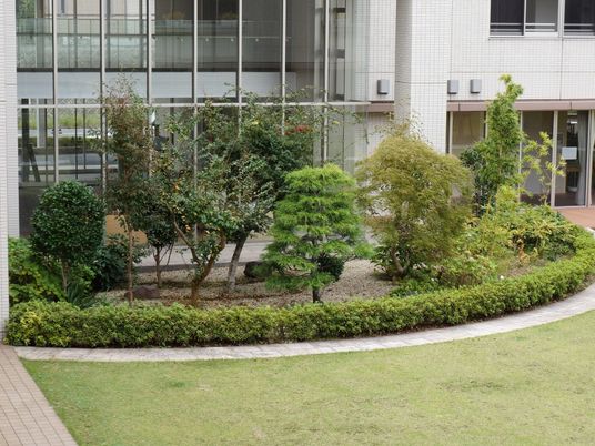 緑豊かな施設の庭
