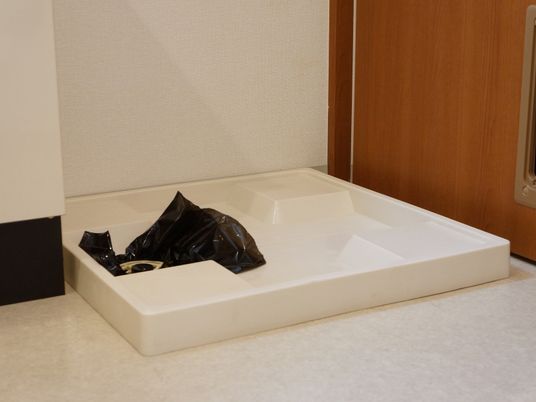 低床式の浴室台