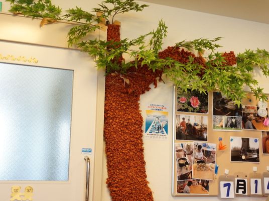 緑の植物と掲示物の壁