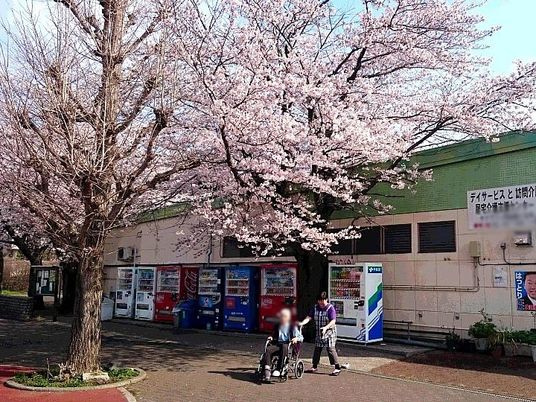 安心感のある外観
