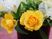 黄色いバラの花束