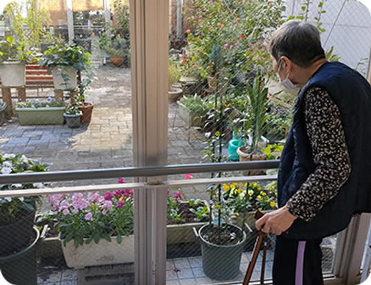 植物が見える廊下