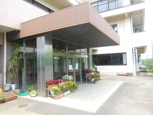 植物が豊かな玄関
