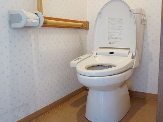 手すり付き清潔なトイレ