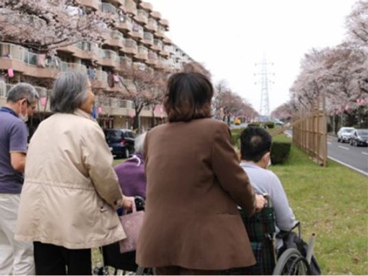 春の桜並木を散策中の人々