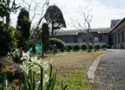 季節の花が咲く庭