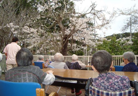 桜を楽しむ庭