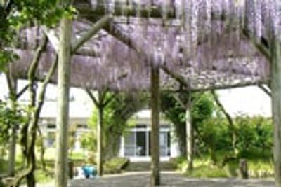 ゆったり庭園の中庭