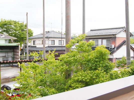 緑豊かな中庭