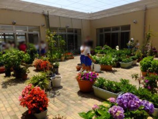 植物が彩る中庭