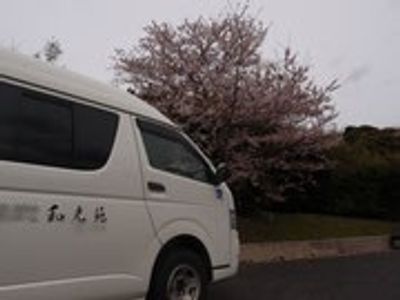 桜並木の駐車場