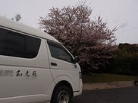 桜並木の駐車場