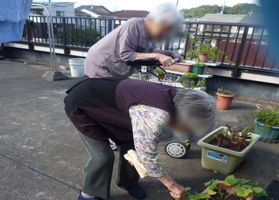 中庭での活動