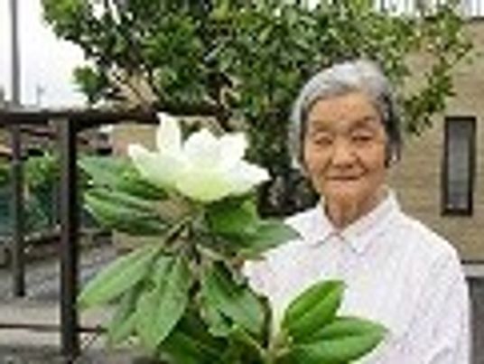 女性と大きな花の庭