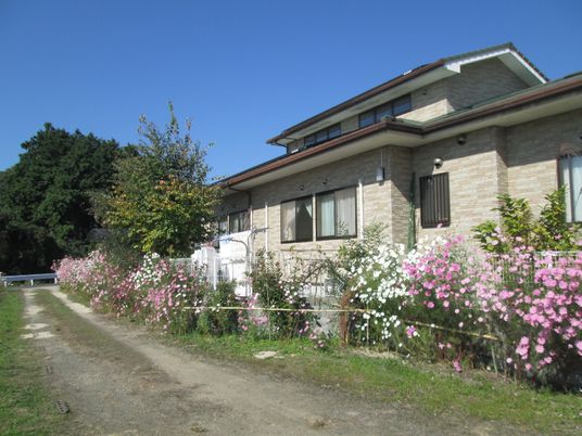花が咲く施設の外観